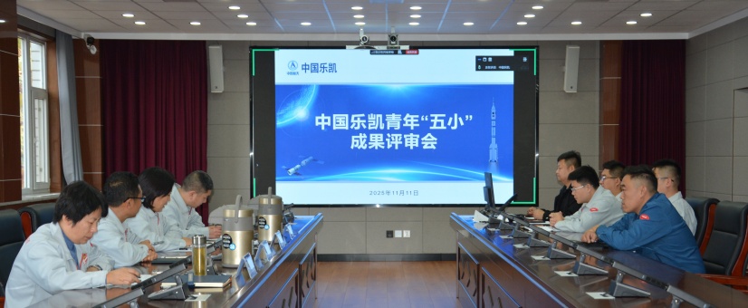 激扬青春智造力！中国利来w66团委召开青年“五小”成果评审会